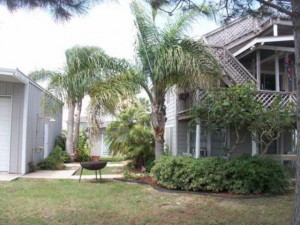 Landscaped Courtyard and Walkway