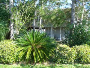 Landscaped Yard