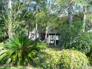 Landscaped and Shaded Front View