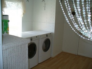 Laundry Area (2)